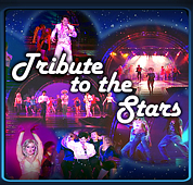 TRIBUTE TO THE STARS celebrity impersonators